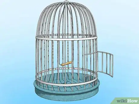 Image titled Look After Pet Birds Step 1