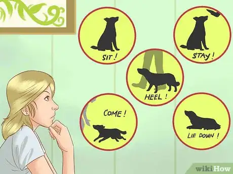 Image titled Train Your Dog With Silent Signals Step 1