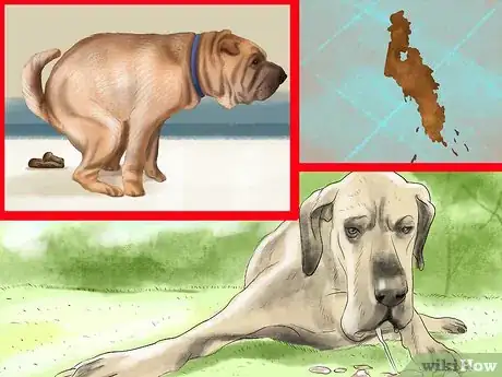 Image titled Spot Signs of Pancreatitis in Dogs Step 1