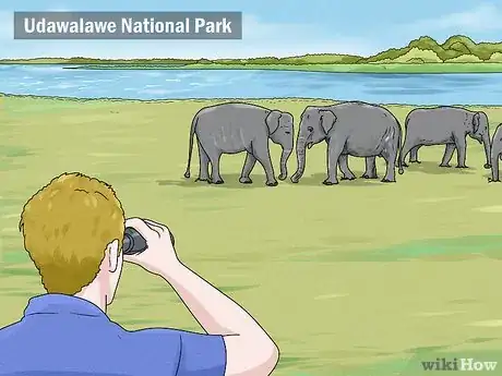 Image titled See Elephants in Sri Lanka Step 3