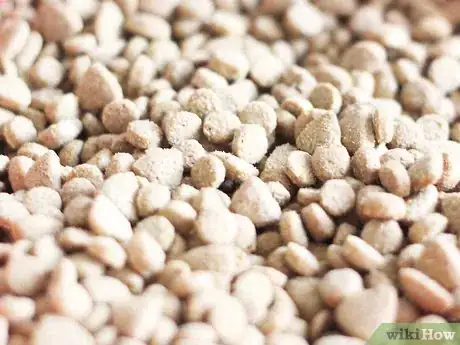 Image titled Bond with a Stray Cat Step 5