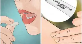 Identify Africanized Honey Bees