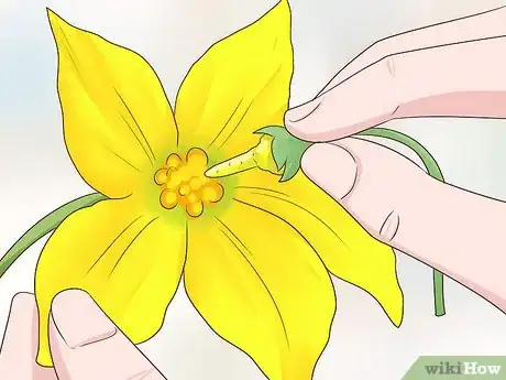 Image titled Grow in a Greenhouse Step 14