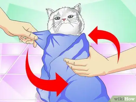 Image titled Give Cats Liquid Medicine Step 5