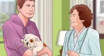 Care for a Dog with Brain Cancer