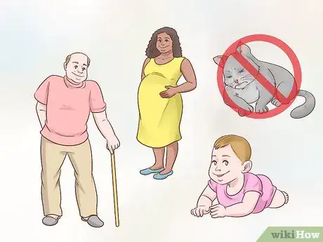 Image titled Diagnose and Treat Chlamydiosis in Cats Step 14