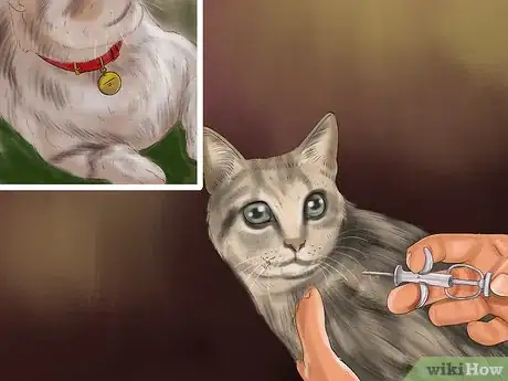 Image titled Choose a Cat‐Friendly Vacation Destination Step 8