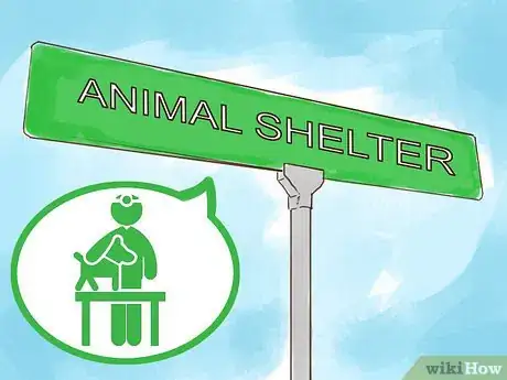 Image titled Work with Your Veterinarian to Reduce Costs Step 8