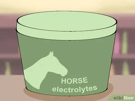 Image titled Take Care of a Horse in Hot Weather Step 4