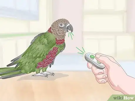 Image titled Teach a Hawk‐Headed Parrot to Speak Step 8