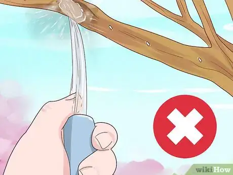 Image titled Grow Mistletoe Step 9