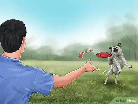 Image titled Care for Sled Dogs Step 9