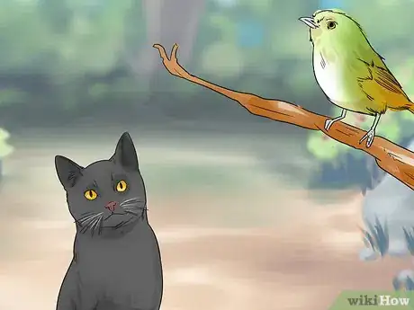 Image titled Identify a Bombay Cat Step 8