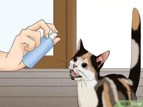 Image titled Avoid Losing Your Cat Step 11