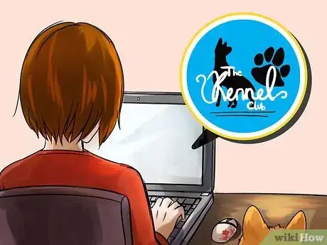 Image titled Adopt a Purebred Dog Step 13