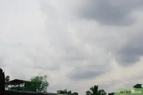 Image titled Dry Mushrooms Step 11