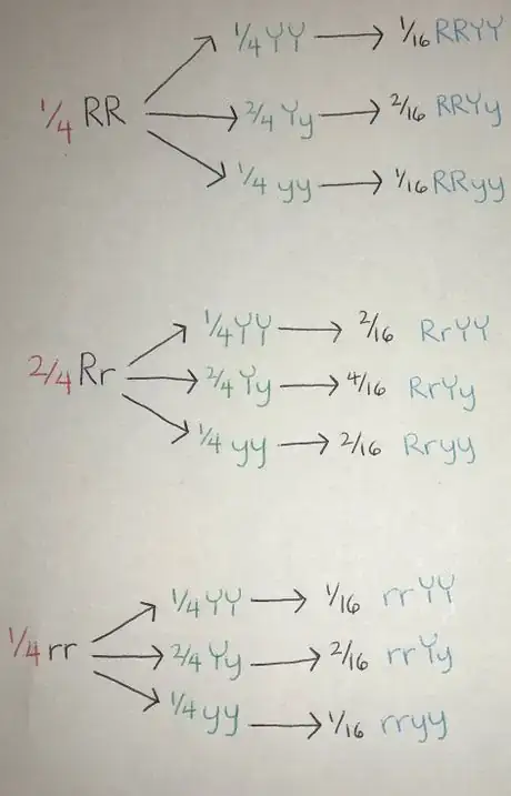 Image titled Wiki 12 hii