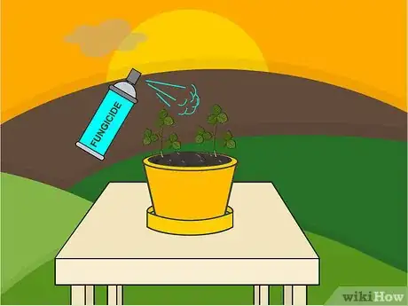 Image titled Grow Strawberries in a Pot Step 12