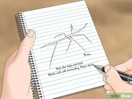 Image titled Watch Insects Step 20