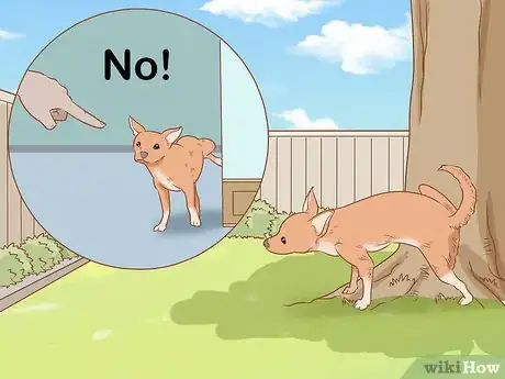 Image titled Prevent Your Chihuahua from Behaving Badly Step 8