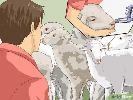 Image titled Drench Sheep Step 12