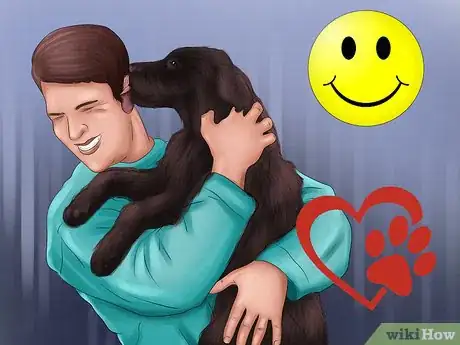 Image titled Buy a Chocolate Labrador Step 1