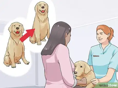 Image titled Find a Good Dog Groomer Step 11