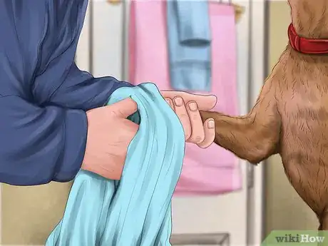 Image titled Care for Your Dog in the Winter Step 15