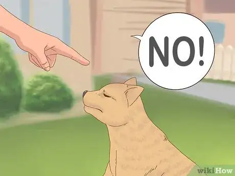 Image titled Keep Dogs Out of Gardens Step 10