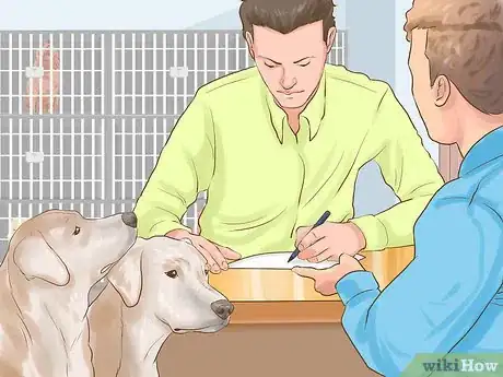 Image titled Adopt Multiple Dogs at One Time Step 11