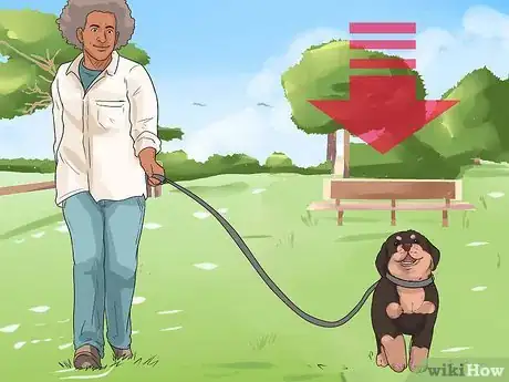 Image titled Diagnose Arthritis in Rottweilers Step 12