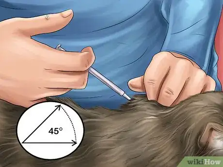 Image titled Administer Injectable Medication to a Cat Step 6