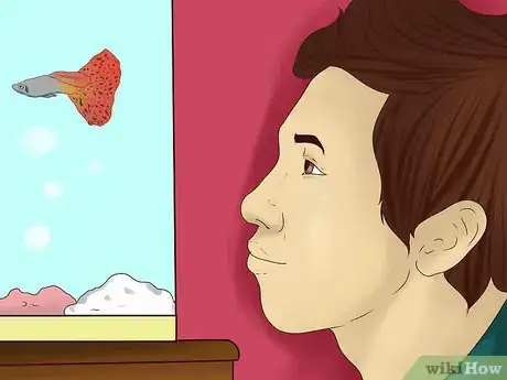 Image titled Maintain Salt Water Aquariums Step 7