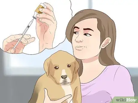 Image titled Stay Updated on Dog Vaccinations Step 2