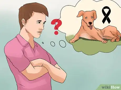 Image titled Diagnose Canine Cancer Step 11