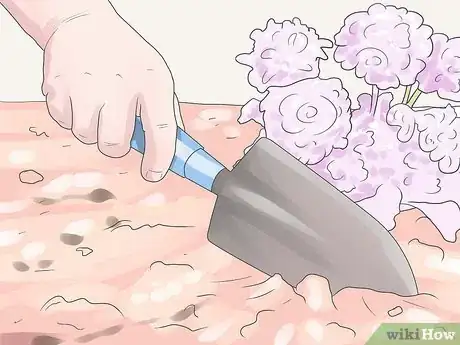 Image titled Care for Geraniums in Winter Step 10