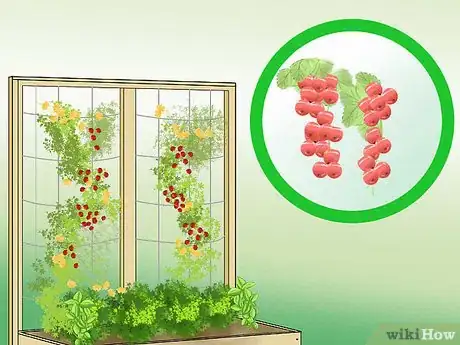 Image titled Design a Potager Garden Step 12