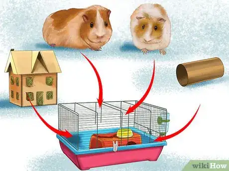 Image titled Prevent Skin Problems in Guinea Pigs Step 11