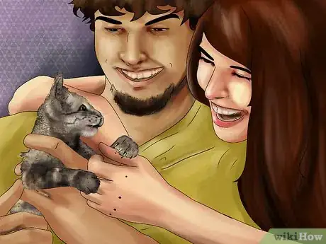 Image titled Photograph Your Cat's Symptoms for the Vet Step 4