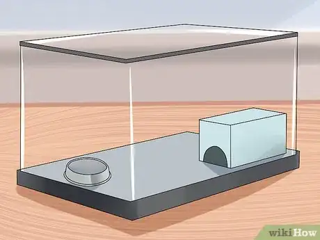 Image titled Look After a Venomous Snake Step 6