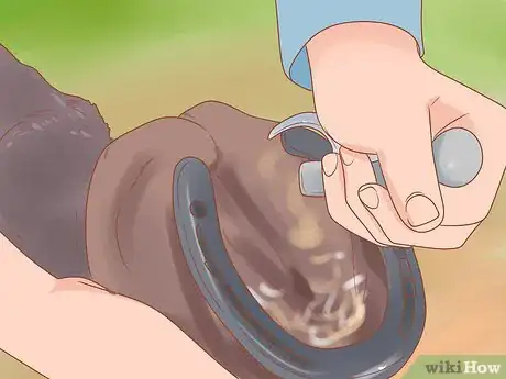 Image titled Groom a Horse for a Show Step 23