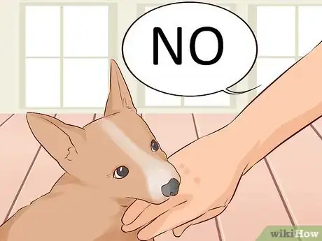 Image titled Train a Puppy Not to Bite Step 1