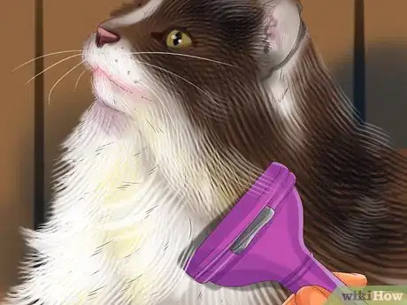 Image titled Treat Behavior Problems in Older Cats Step 9