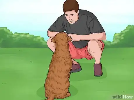 Image titled Hang Out with Your Dog Step 7