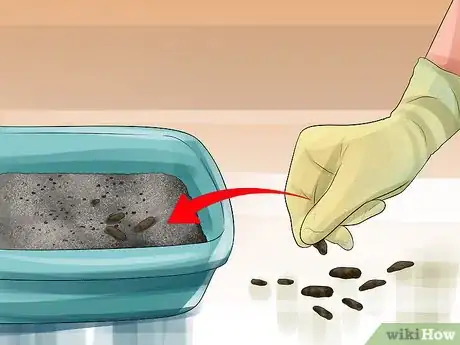 Image titled Train a Ferret Step 5