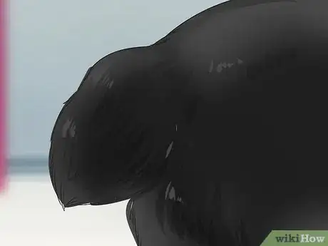 Image titled Identify a Cymric Cat Step 6