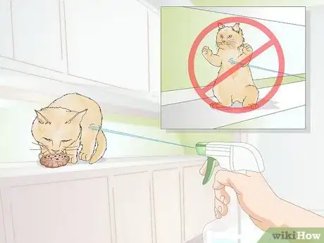Image titled Use a Spray Bottle on a Cat for Training Step 7