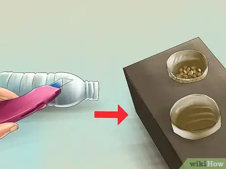 Image titled Feed a Cat Using Food Puzzles Step 10