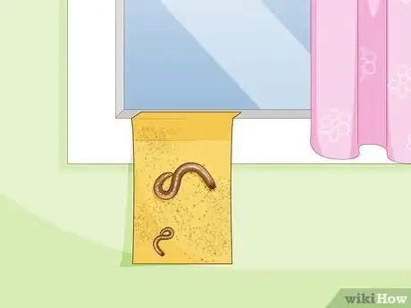 Image titled Prevent Millipedes Step 15