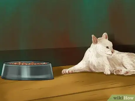 Image titled Diagnose and Treat Feline Toxoplasmosis Step 2